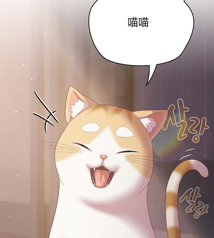 猫猫牵红线第18话