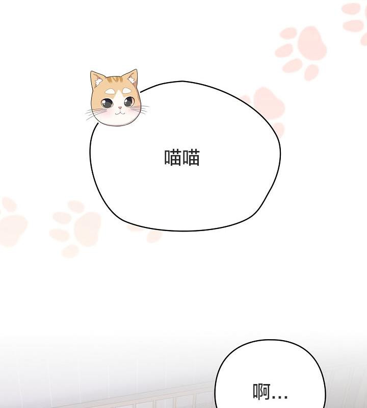 貓貓牽紅線第18話