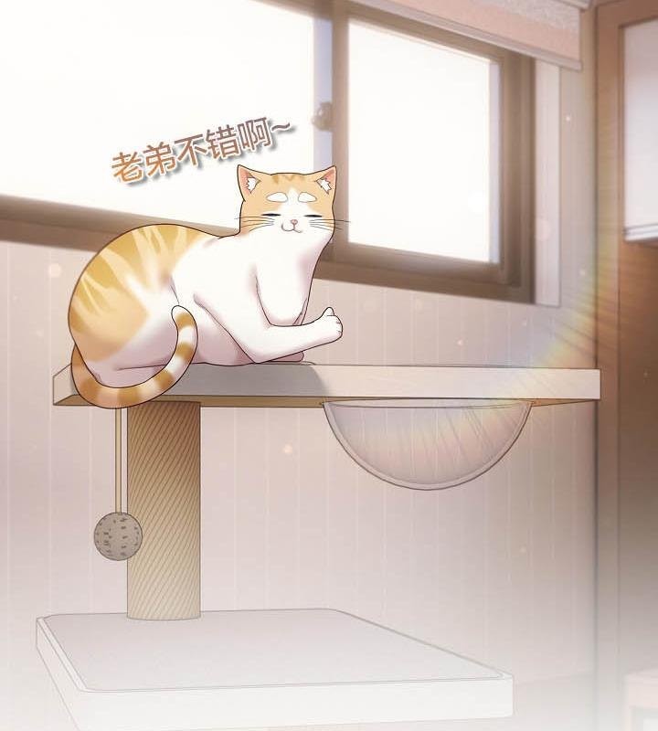 貓貓牽紅線第18話