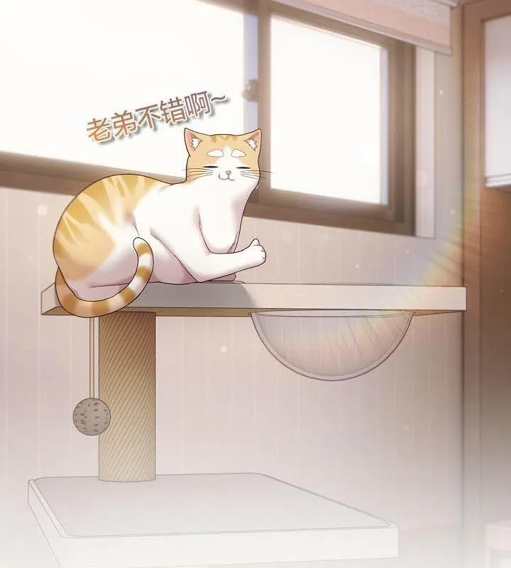 貓貓牽紅線第18話