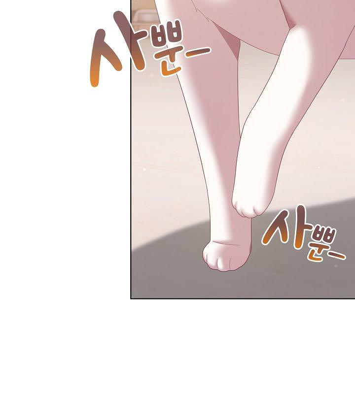 貓貓牽紅線第18話