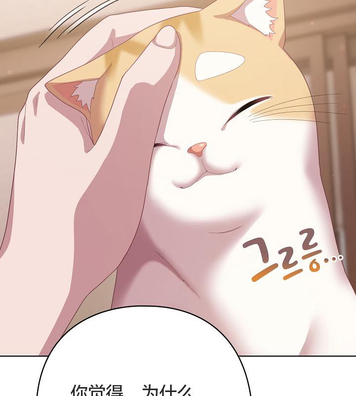 貓貓牽紅線第18話