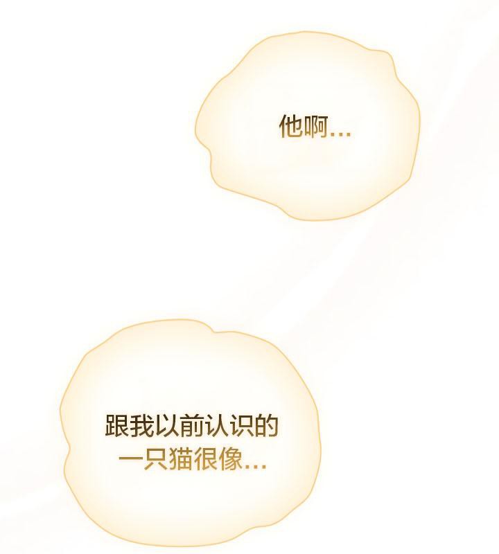 貓貓牽紅線第19話