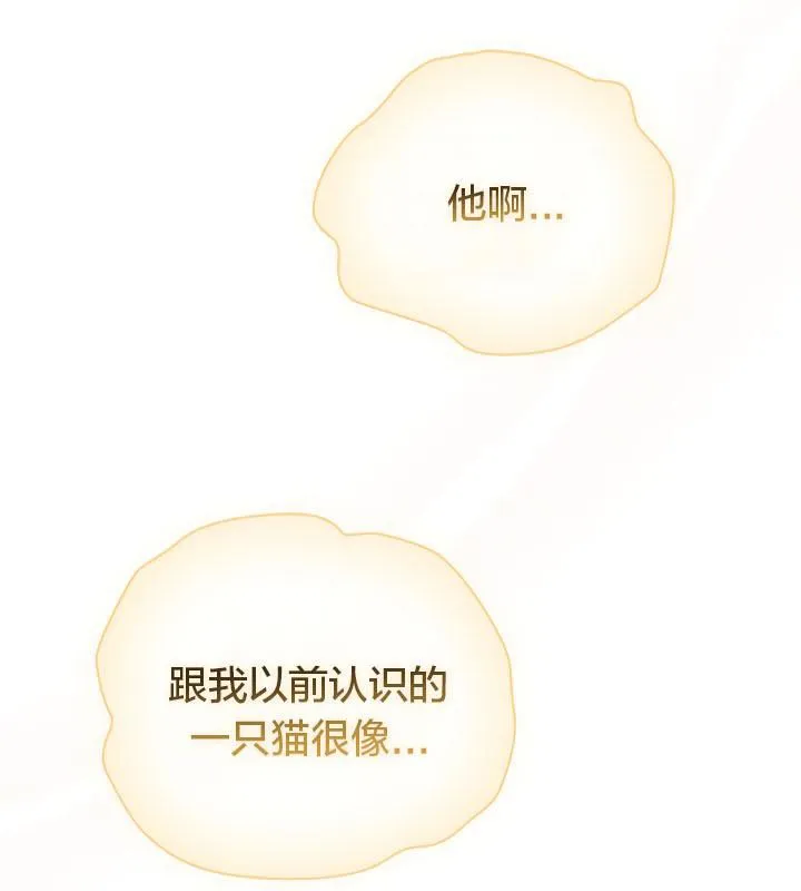 貓貓牽紅線第19話