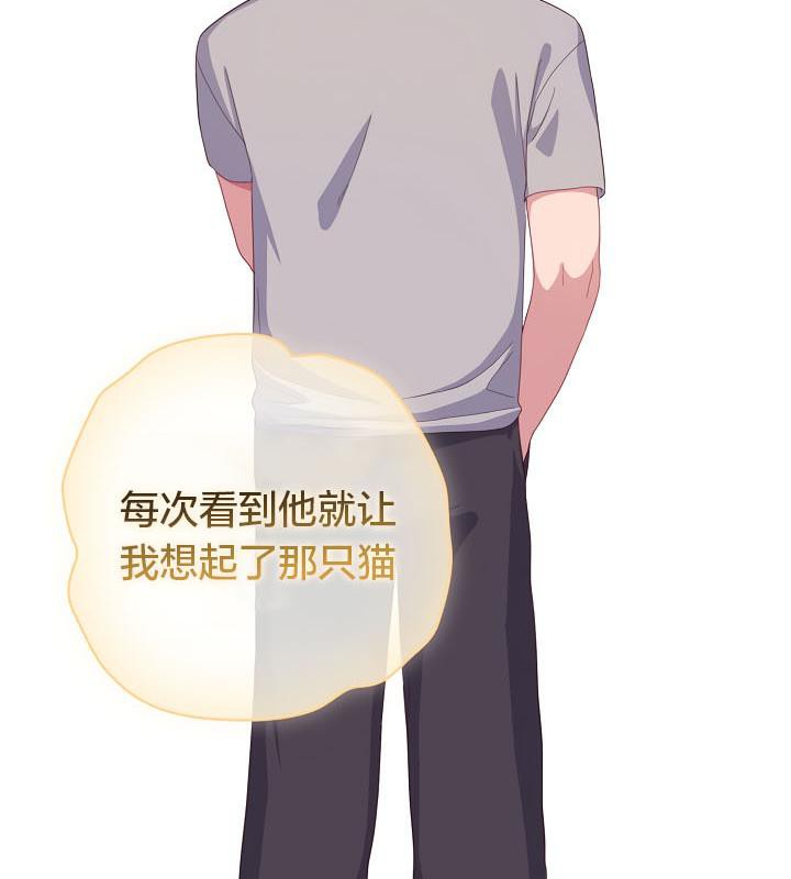 貓貓牽紅線第19話