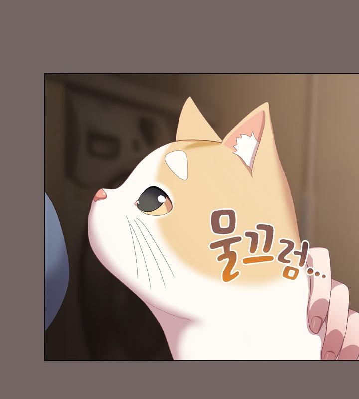 貓貓牽紅線第20話