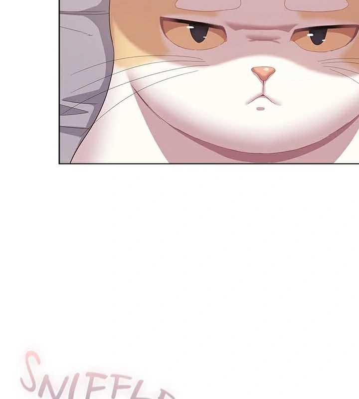 貓貓牽紅線第23話