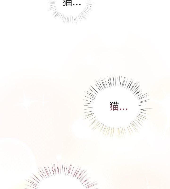 貓貓牽紅線第24話