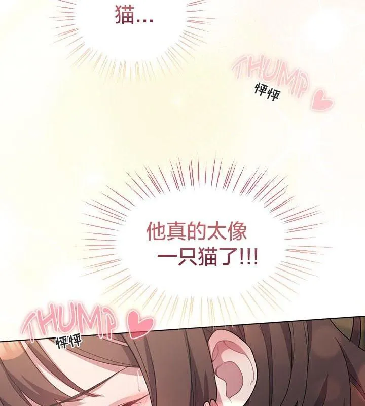 貓貓牽紅線第24話
