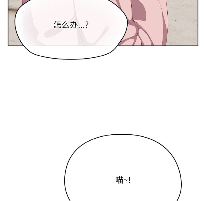 喵来的恋爱第1話