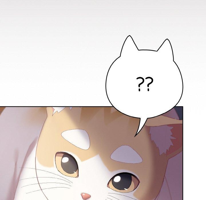 喵来的恋爱第3話