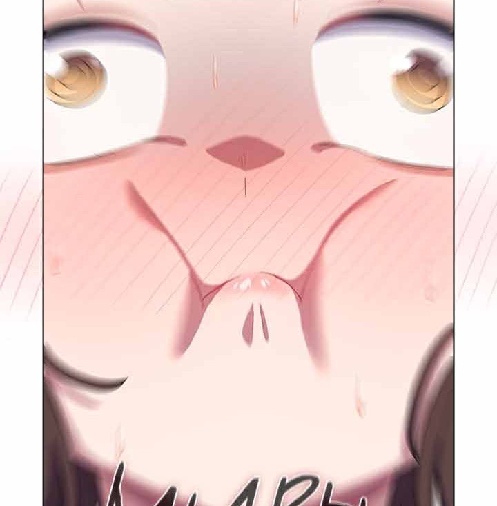 貓貓牽紅線第28話