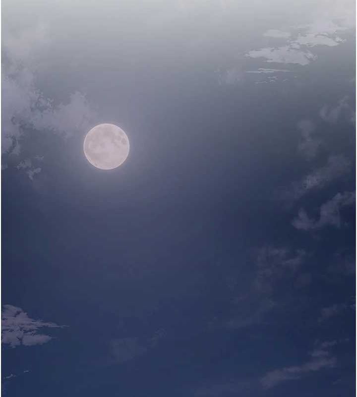 花容湿色:取花点第45話-夫人下面也濕了…