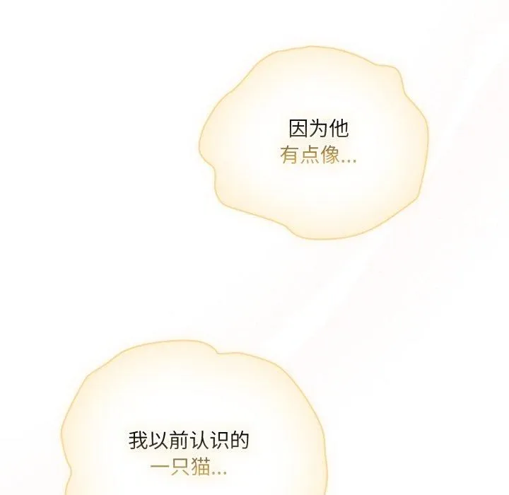 喵来的恋爱-第19話 - 图片 72
