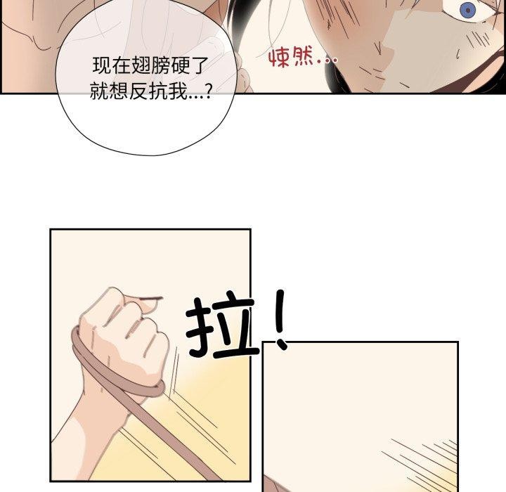 纯洁之罪第12話