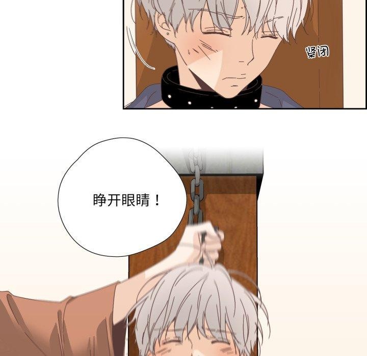 纯洁之罪第12話