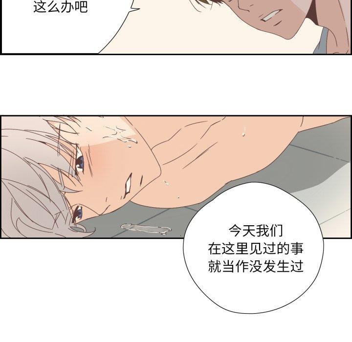 纯洁之罪第12話