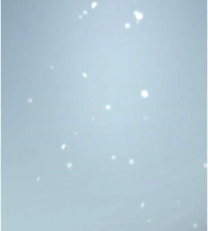 癢樂多阿姨第74話-重新牽起的手