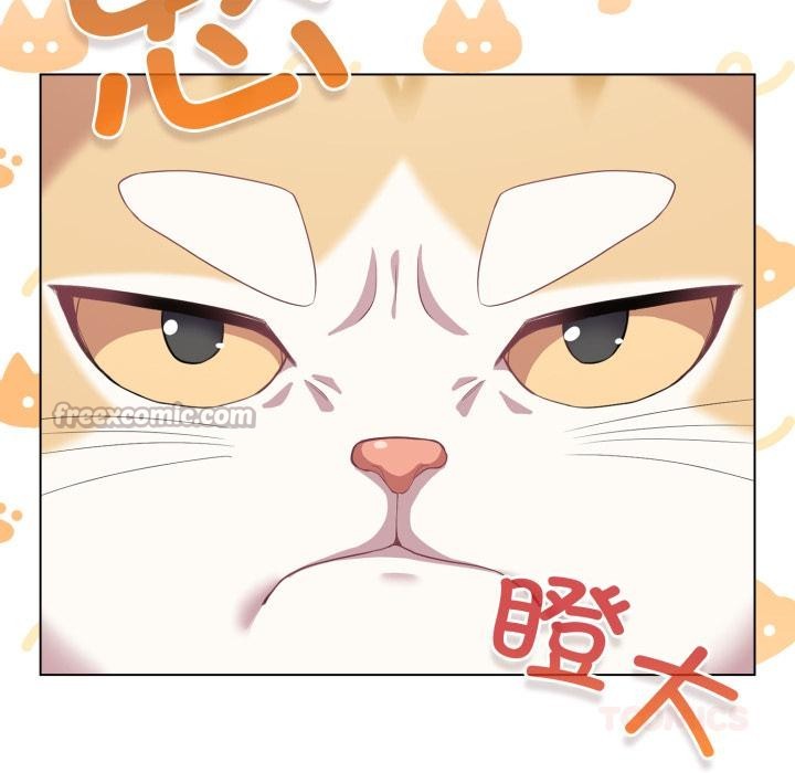 喵来的恋爱第33話