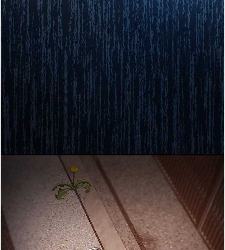 衣錦還鄉第11話-訓練狗狗大小便