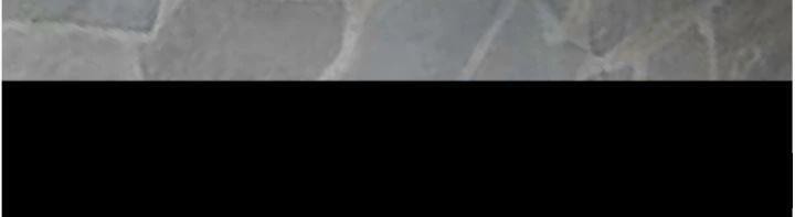 炸裂吧!巨棒第96話-來生老二吧~