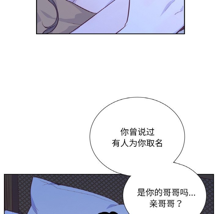 吉赛儿之血第17話