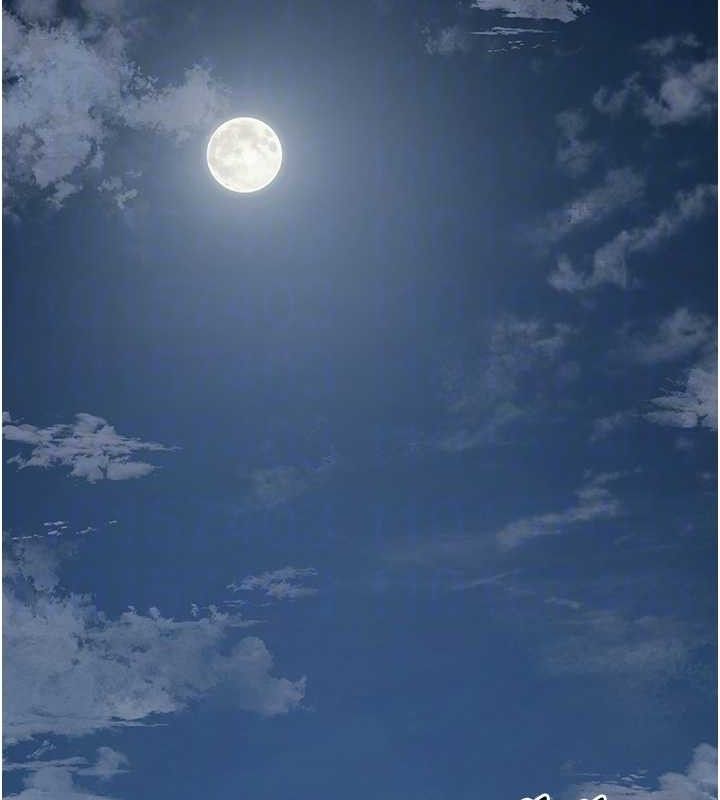 花容湿色:取花点第69話-深夜密會男僕