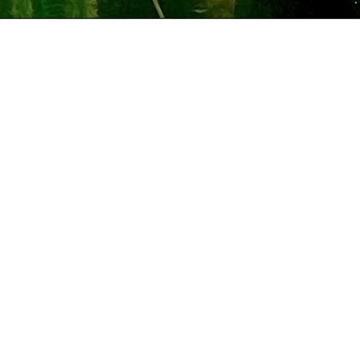 難纏小惡女第271話