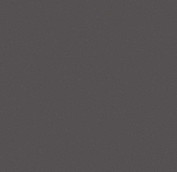 神圣陷阱第13話