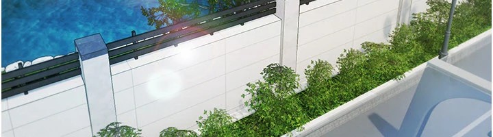 极乐泳池趴第1话-上流社会的隐密派对