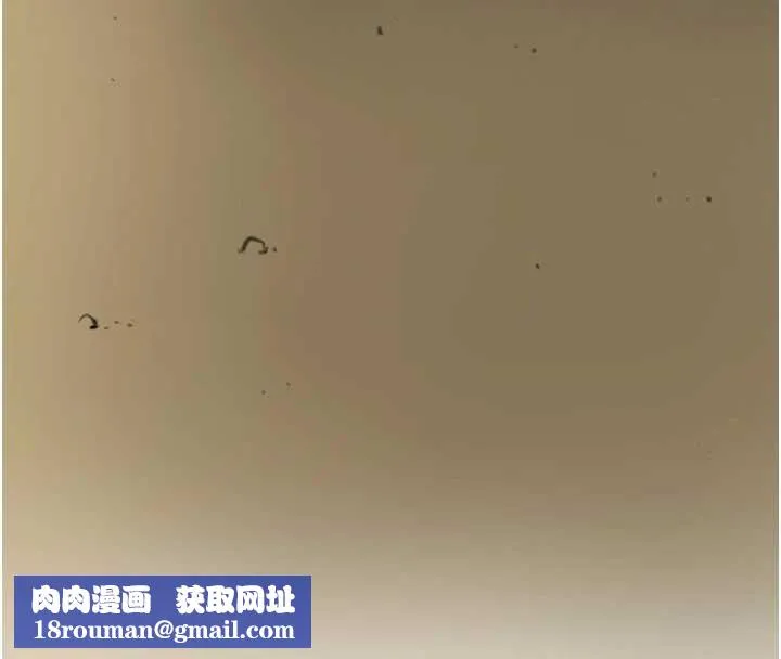 花容湿色:取花点-第77話-醉醺醺的大人亂入 - 图片 67