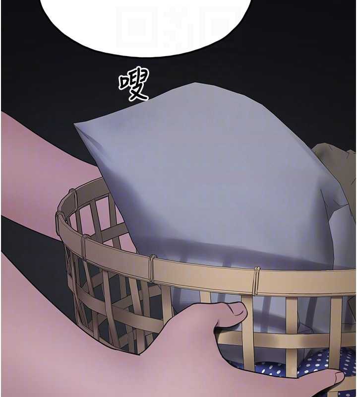 垃圾堆捡到宠物系萌妹第23話-哪裡才是棲身之地?