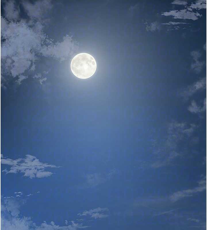 花容湿色:取花点第79話-昨晚你真粗魯&hellip;