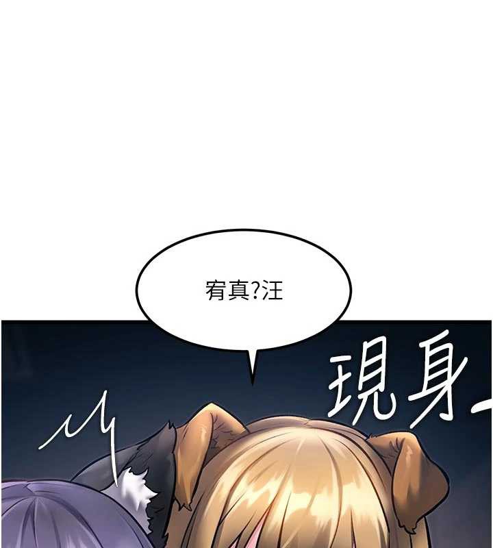 特色新视界第16話-主人是狗派還是貓派?