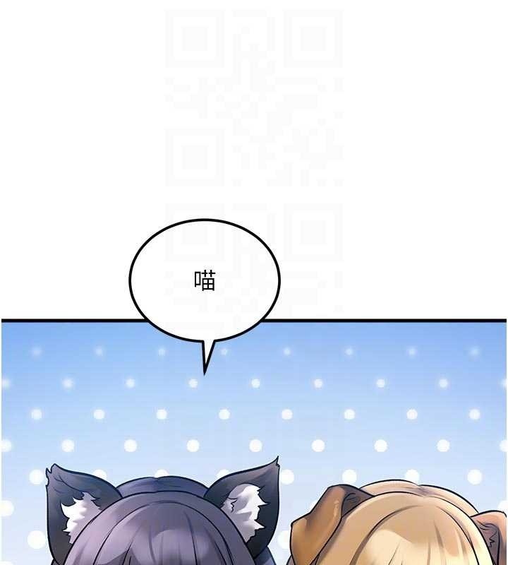 特色新視界第16話-主人是狗派還是貓派?