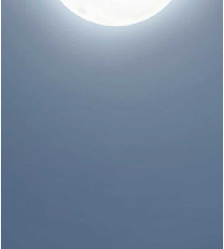 花容濕色:取花點第80話-秋香小姐是屬於我的