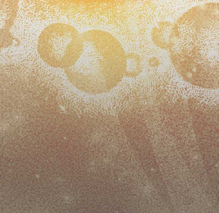 神聖陷阱第22話