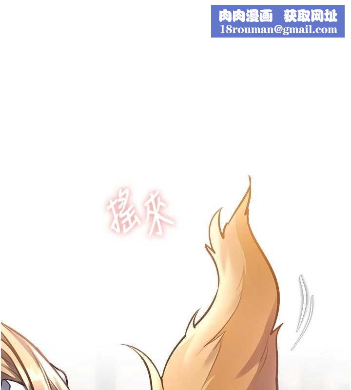 特色新视界第17話-馴服野貓守則