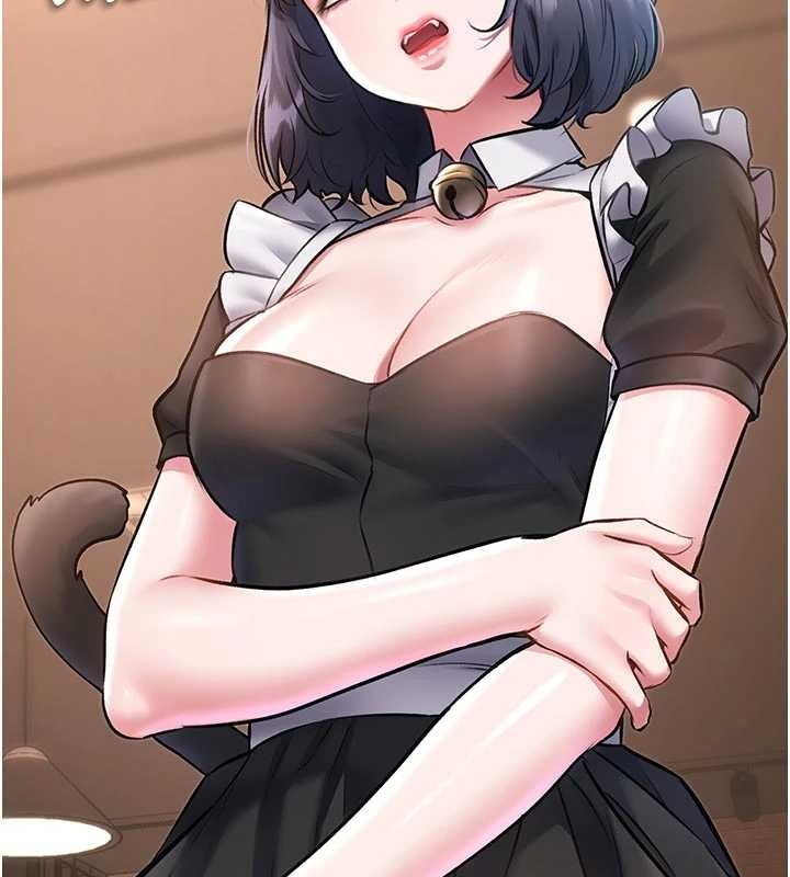 特色新视界第17話-馴服野貓守則