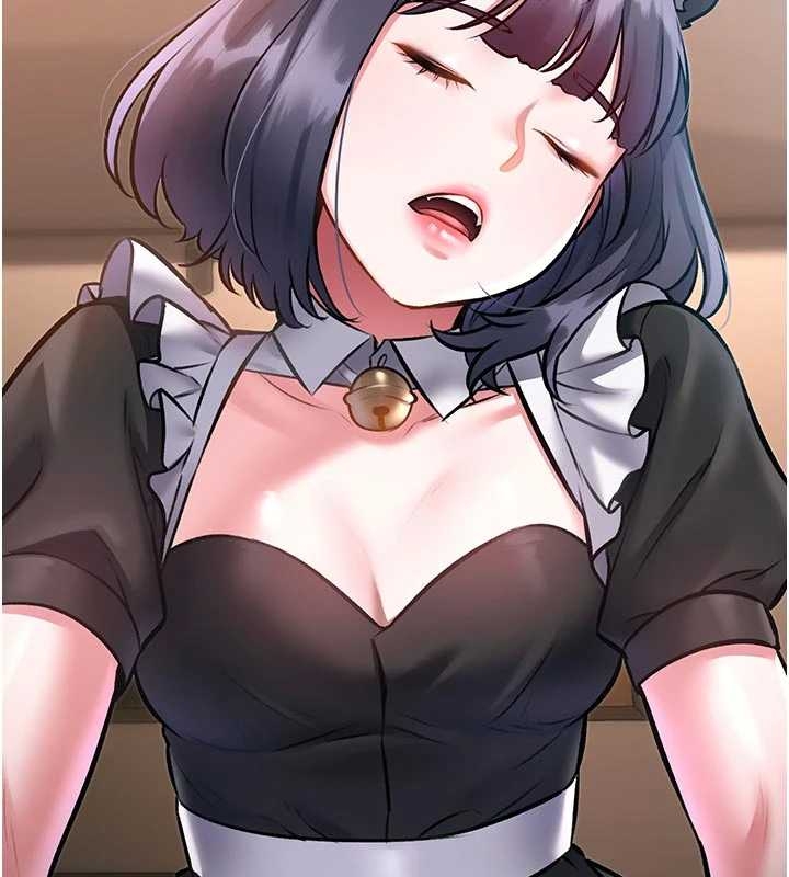 特色新视界第17話-馴服野貓守則