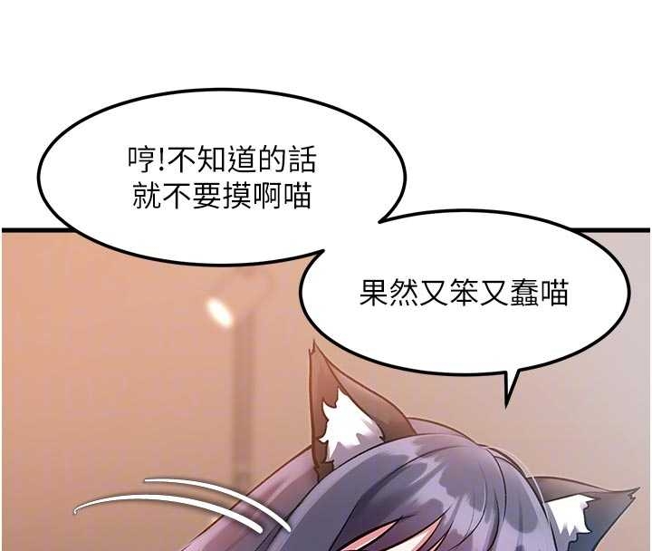 特色新视界第17話-馴服野貓守則