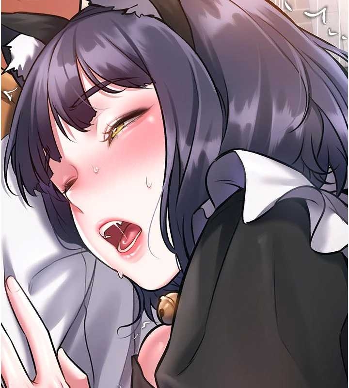 特色新视界第17話-馴服野貓守則