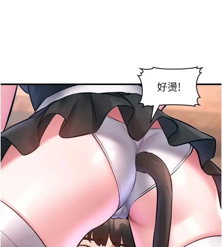 特色新視界第17話-馴服野貓守則