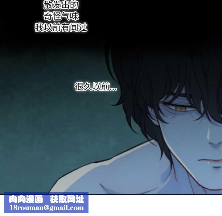 吉赛儿之血第29話