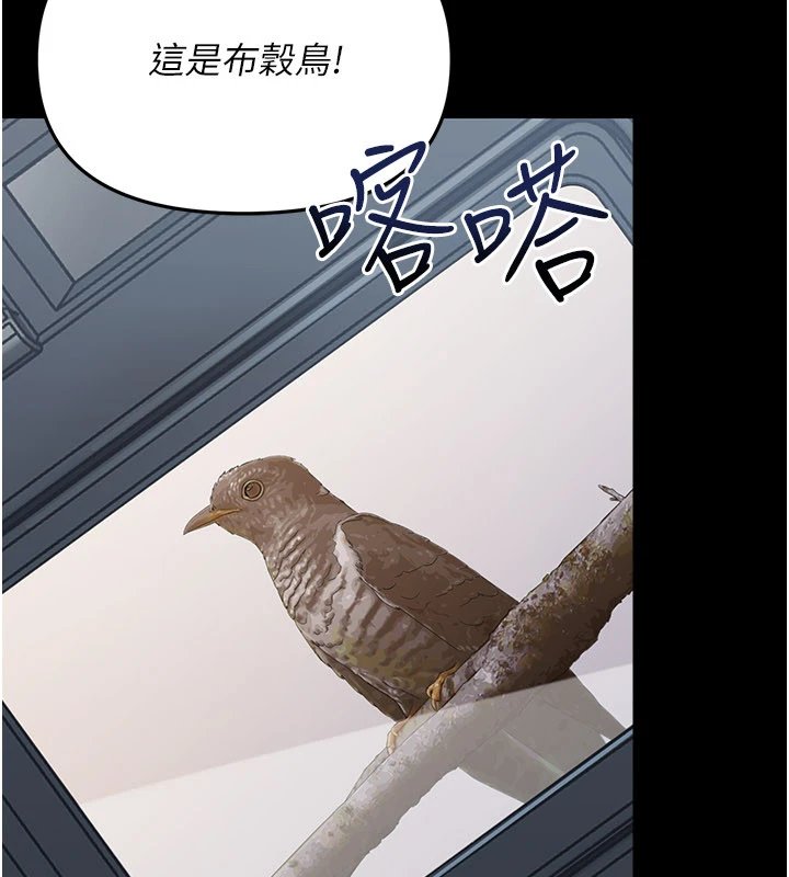 幼惑第1話-長不大的小飛俠