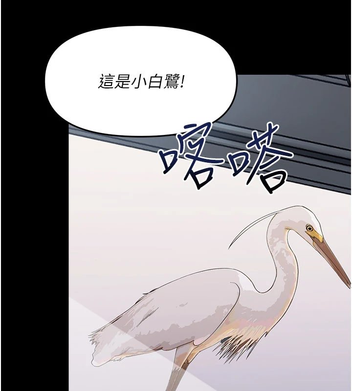 幼惑第1話-長不大的小飛俠