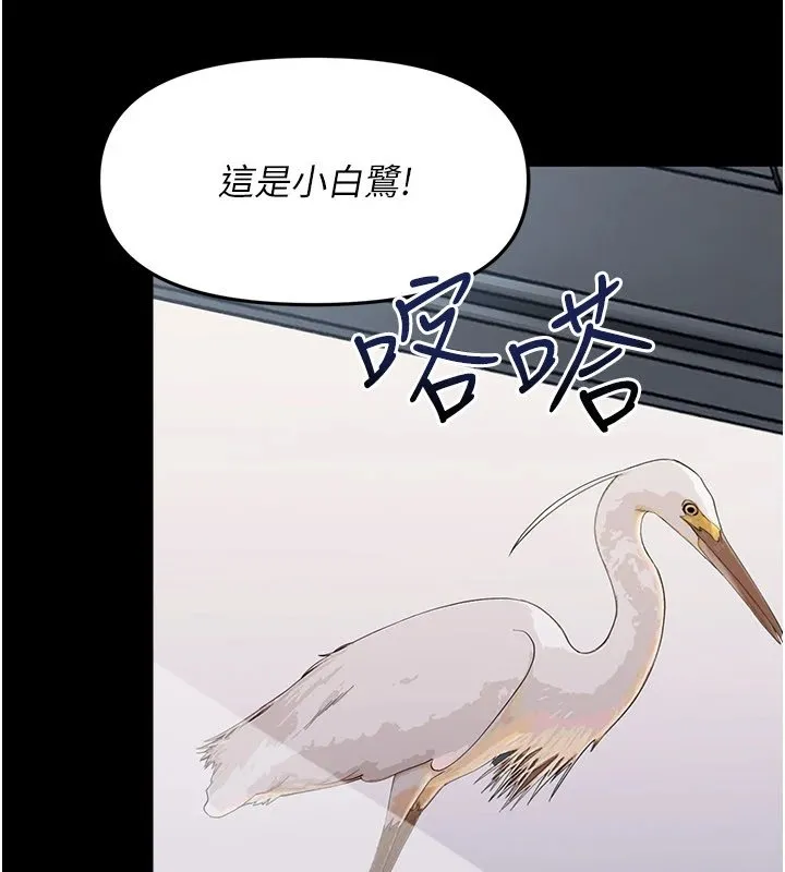 幼惑第1話-長不大的小飛俠