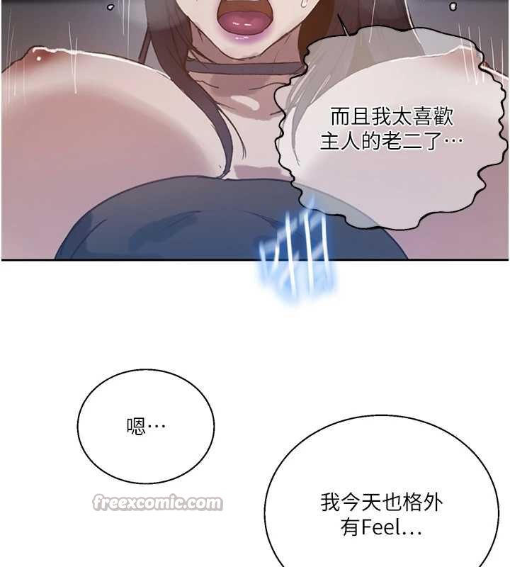 秘密教学第293話-難以抉擇的雙鮑饗宴