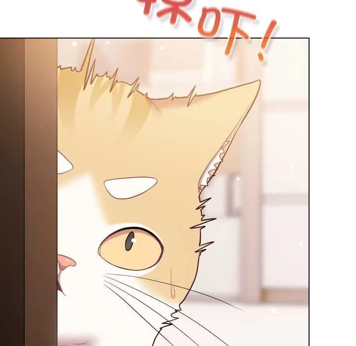 喵來的戀愛第47話