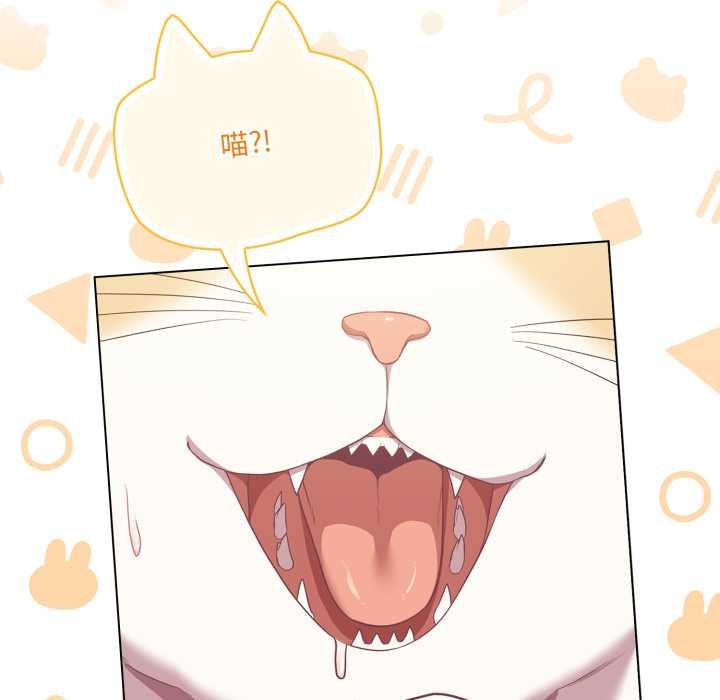 喵来的恋爱第47話